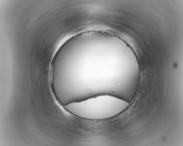 X0000094381103200711020819