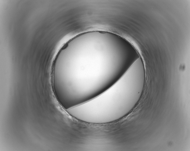 X0000094381104200711020819