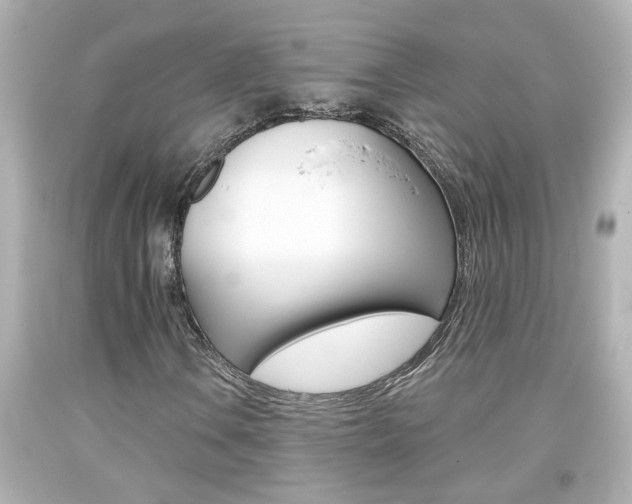 X0000094381106200711020818