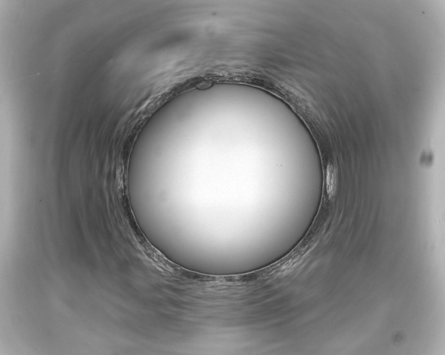 X0000094381107200711020818