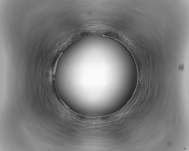X0000094381108200711020818