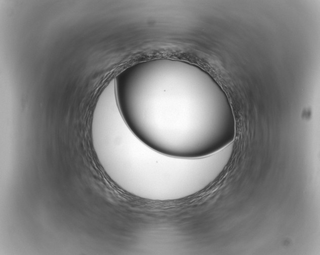 X0000094381109200711020818