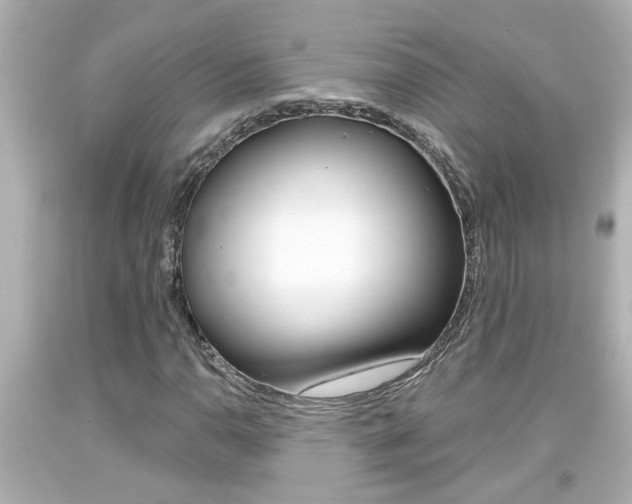 X0000094381110200711020818