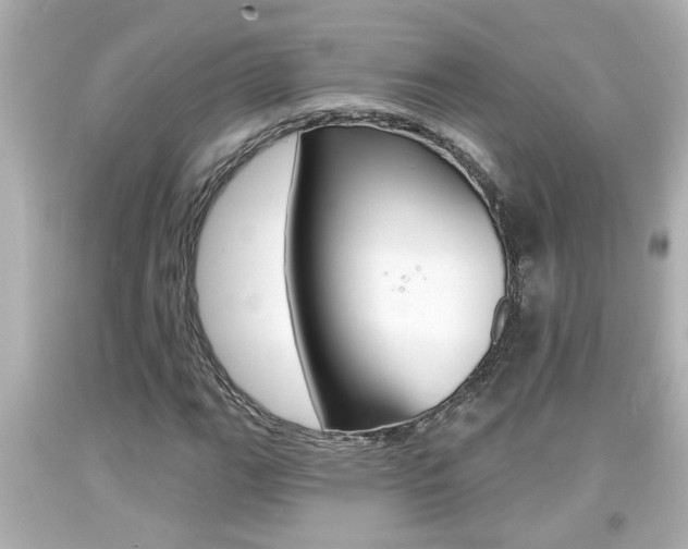 X0000094381111200711020818