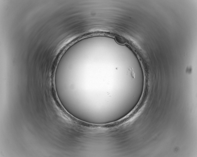 X0000094381113200711020818