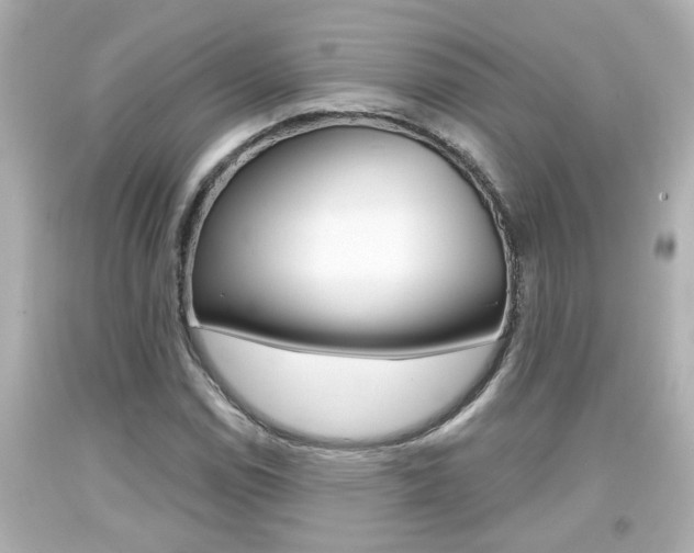 X0000094381114200711020818