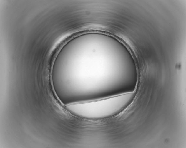 X0000094381115200711020818
