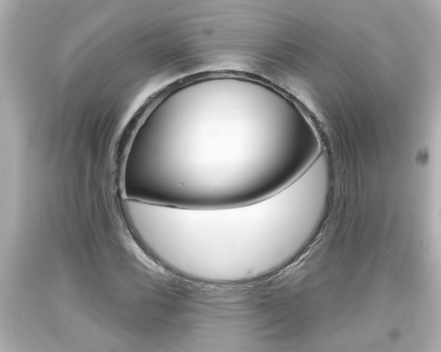 X0000094381116200711020818