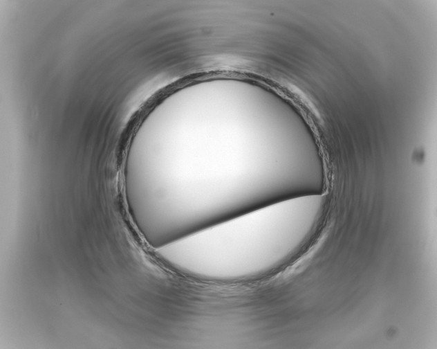 X0000094381117200711020818