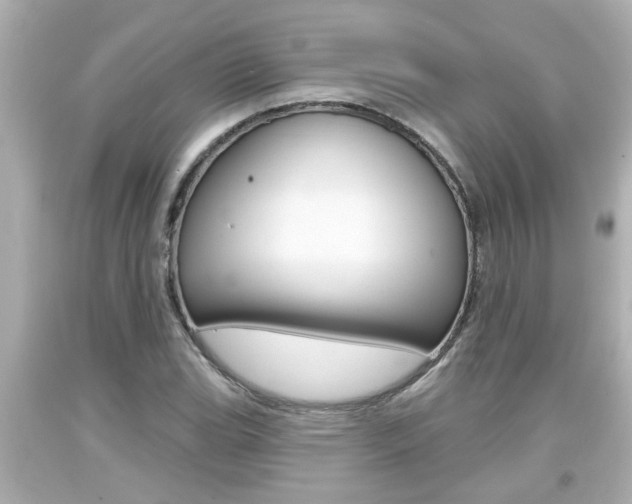 X0000094381119200711020818