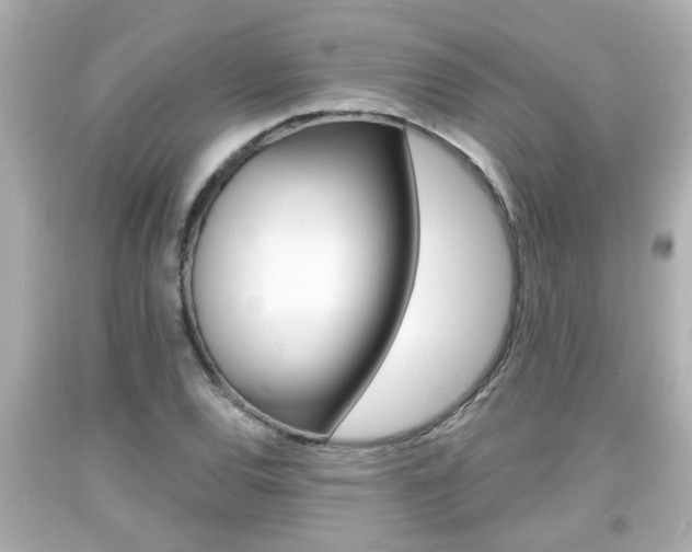 X0000094381120200711020818