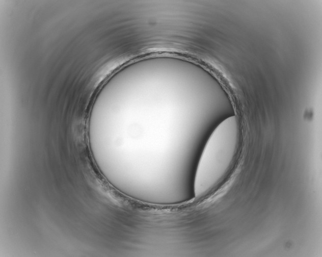 X0000094381121200711020818