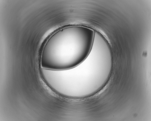 X0000094381122200711020818