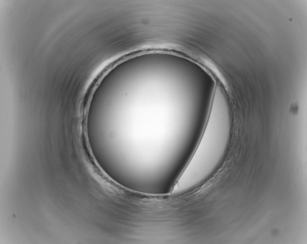X0000094381124200711020818
