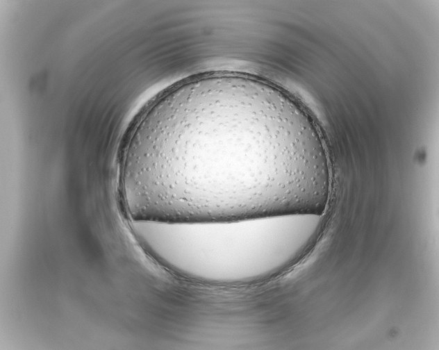X0000094381125200711020818