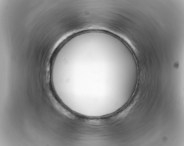 X0000094381126200711020818