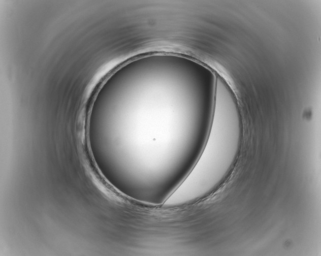 X0000094381128200711020818