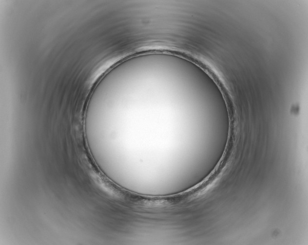 X0000094381129200711020818