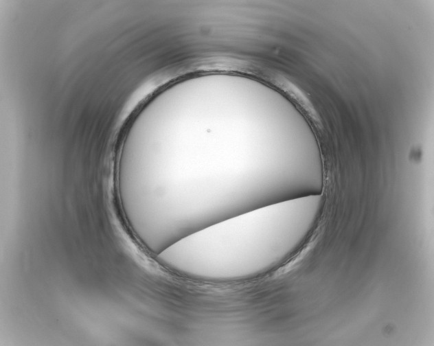 X0000094381130200711020818