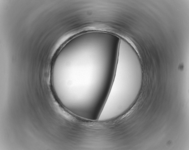 X0000094381131200711020818