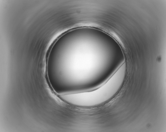 X0000094381132200711020818