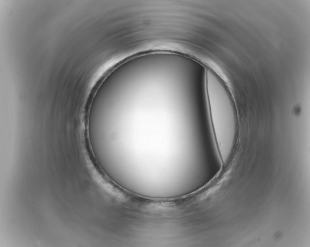 X0000094381133200711020818