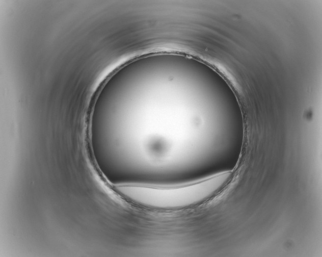 X0000094381134200711020818