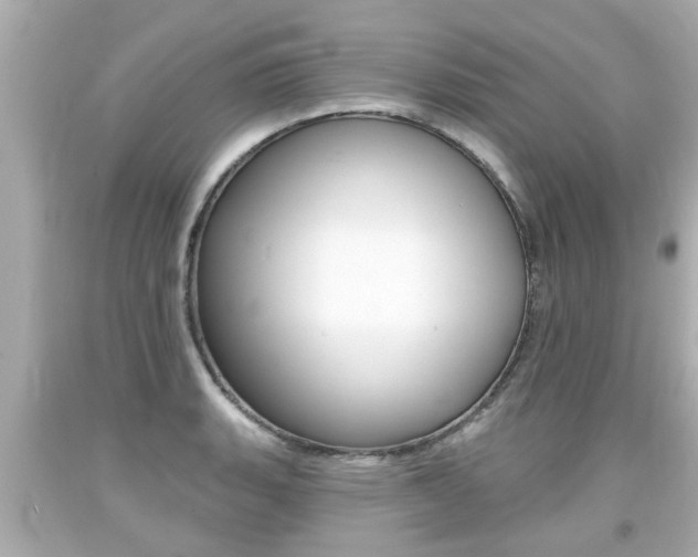 X0000094381135200711020818