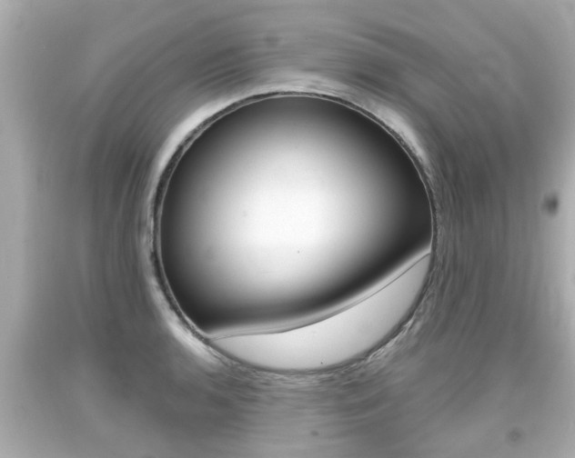 X0000094381136200711020818