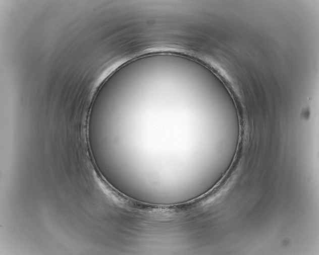 X0000094381137200711020818
