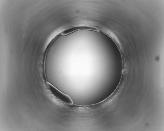 X0000094381138200711020818