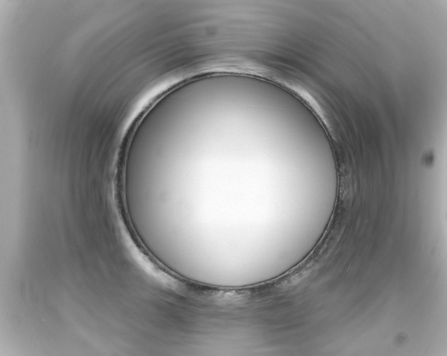 X0000094381139200711020818