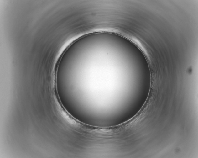 X0000094381140200711020818