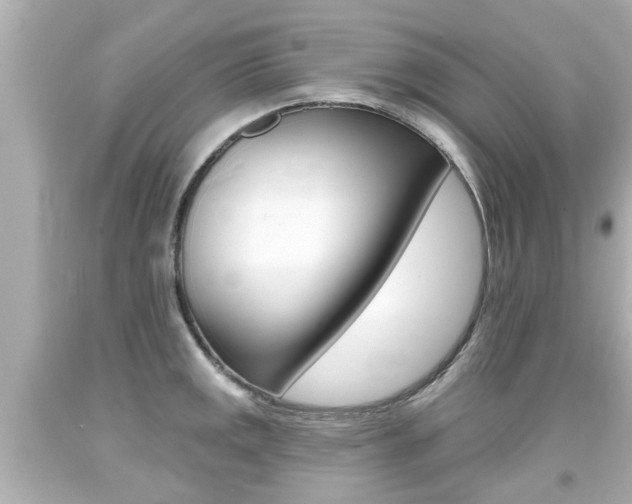 X0000094381141200711020818