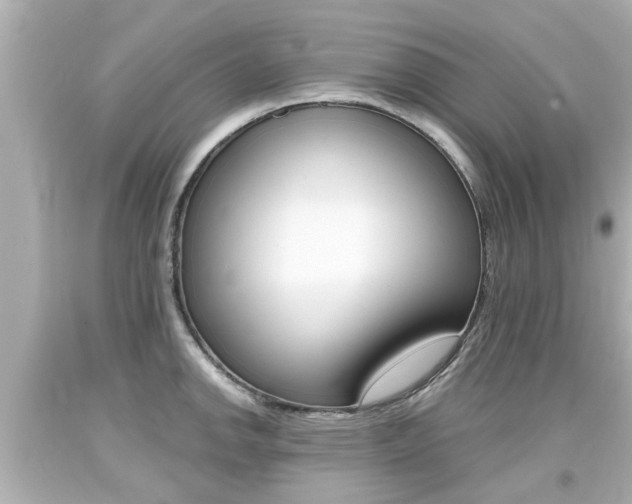 X0000094381142200711020818