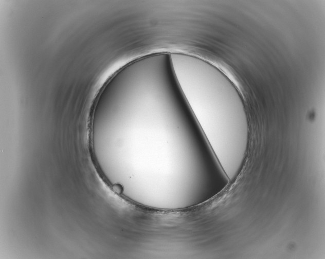 X0000094381143200711020818