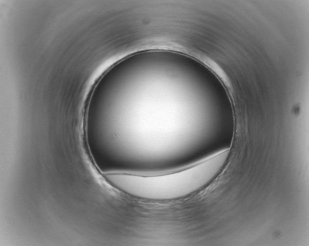 X0000094381144200711020818