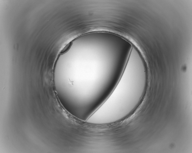 X0000094381145200711020818