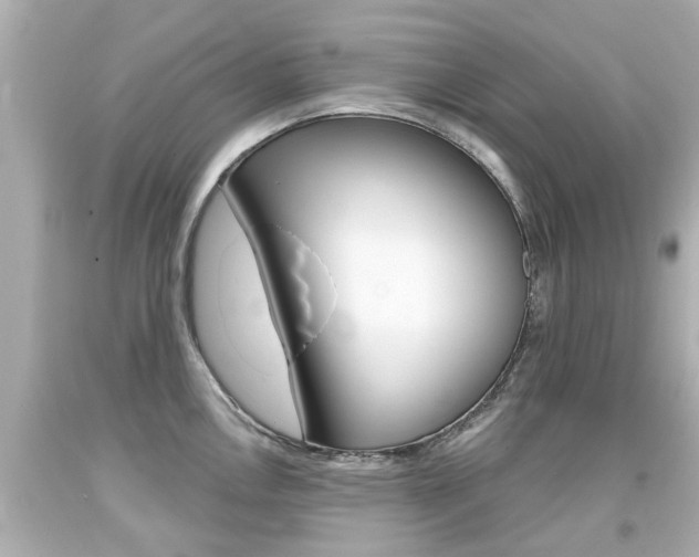 X0000094381146200711020818