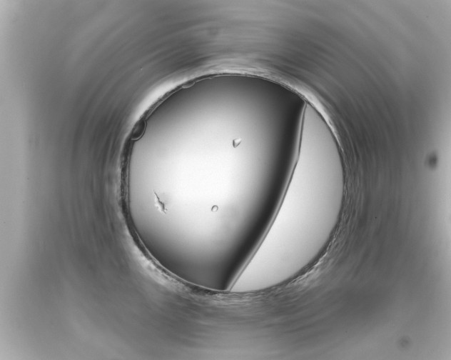 X0000094381147200711020818