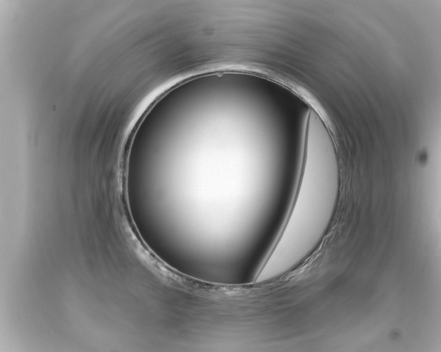 X0000094381148200711020818