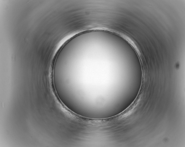X0000094381149200711020818