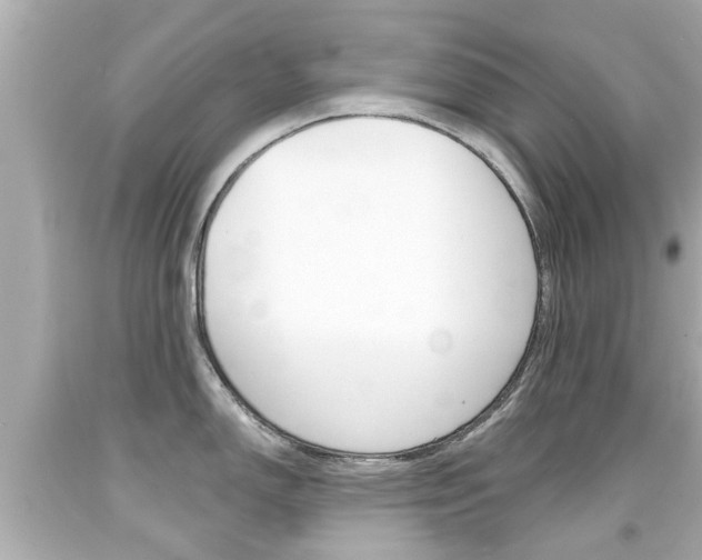 X0000094381150200711020819