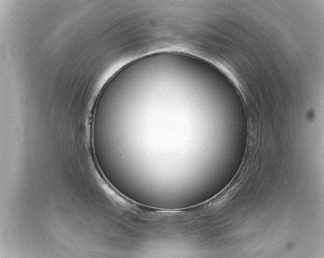 X0000094381151200711020819