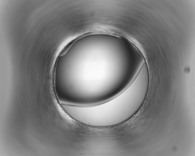 X0000094381152200711020819