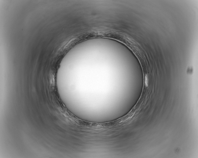 X0000094381155200711020818