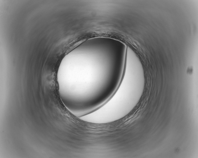 X0000094381156200711020818