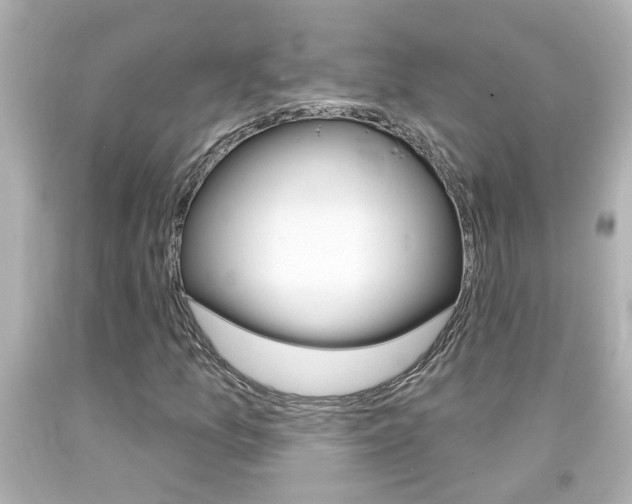 X0000094381157200711020818