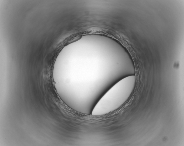 X0000094381158200711020818