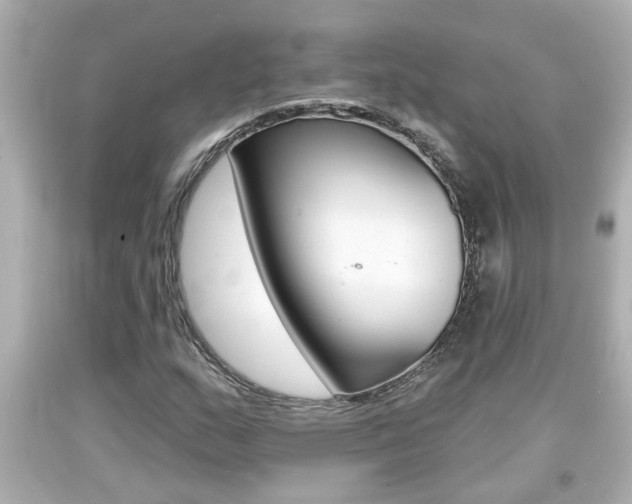 X0000094381159200711020818